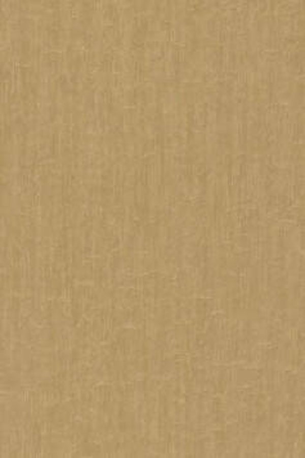 HookedonWalls Passe Partout Colour Vibes 29901