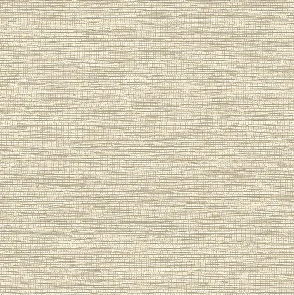 HookedonWalls Leopard Walk Jomon 15309