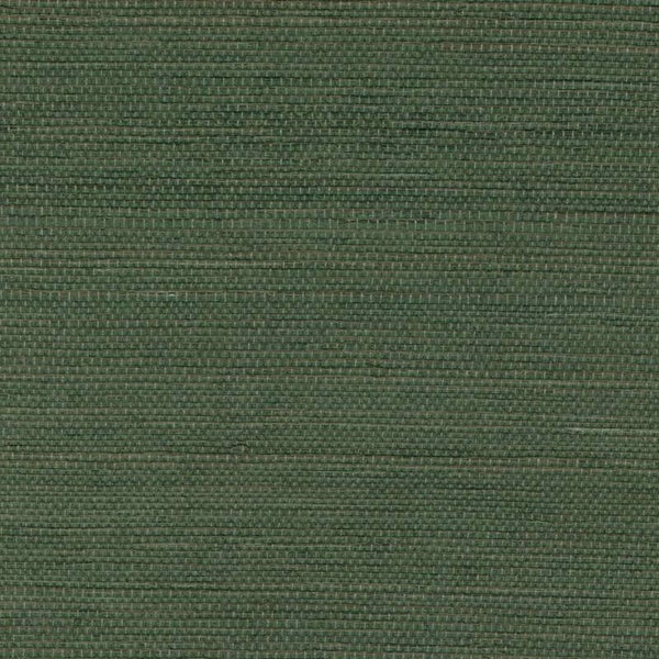 Élitis Tribus Sisal RM 1069 62