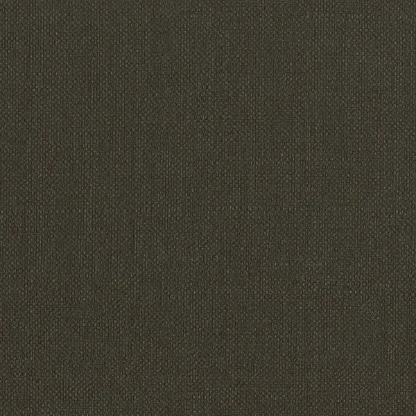 HookedonWalls Lemuria Baobab 60642