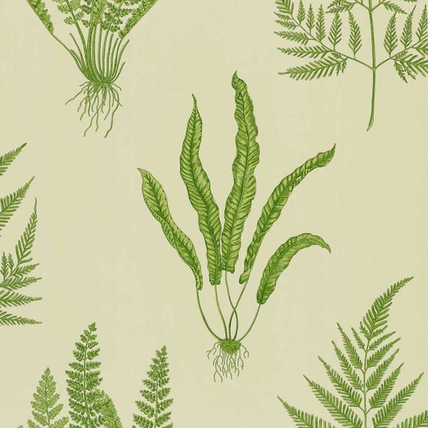 Sanderson One Sixty Woodland Ferns DAPGWO102