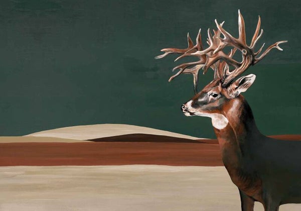 Coordonné Naturae Great Deer 9500201