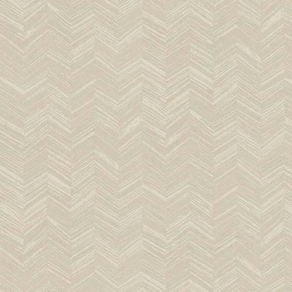 HookedonWalls New Wave Chevron Simposium 24815