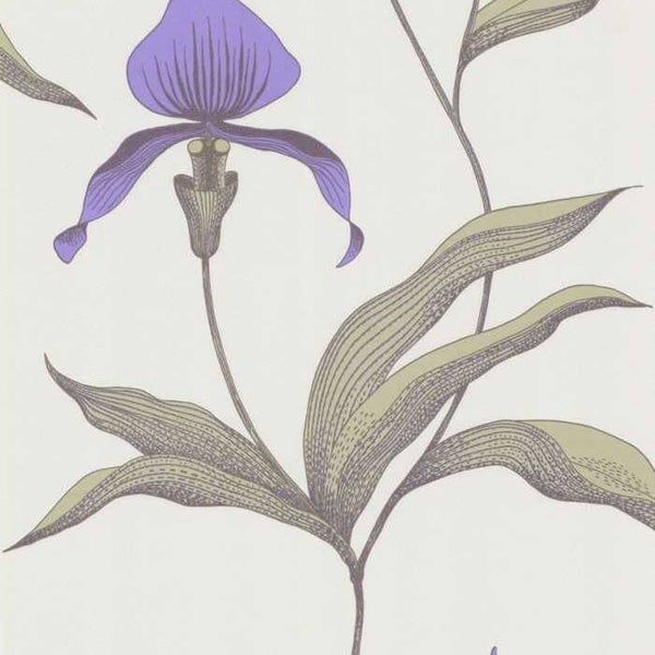Cole & Son The Contemporary Selection Orchid 66/4024
