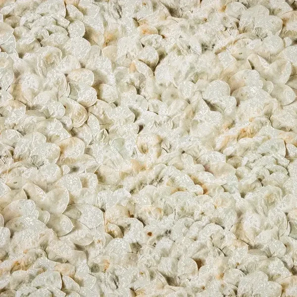 HookedonWalls Liaison Lunaria 46310