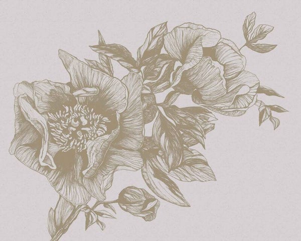 Coordonné Naturae Giant Peonies 9500701
