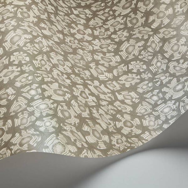 Cole & Son Ardmore Jabula Savanna Shell 119/4022
