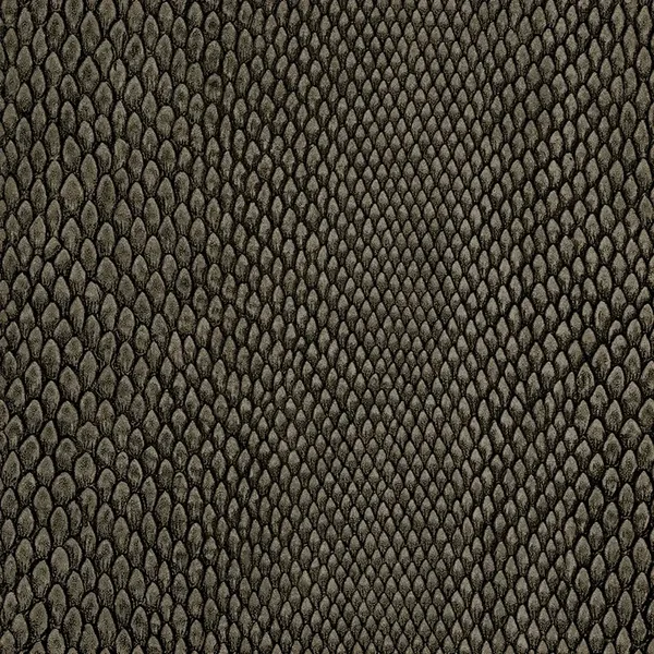 HookedonWalls Leopard Walk Naja 15336