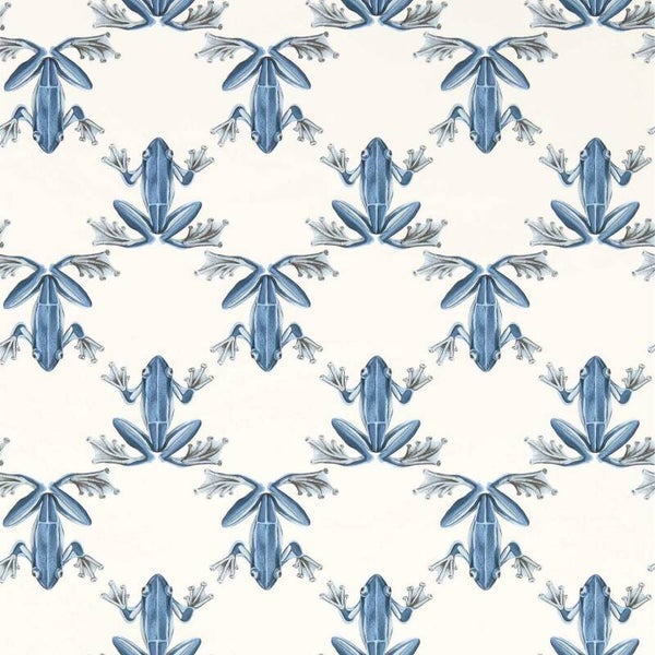 Harlequin Colour 4 Wood Frog 113012