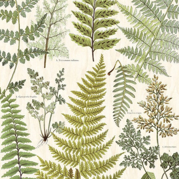 Eijffinger Geonature Herbarium Green 366104