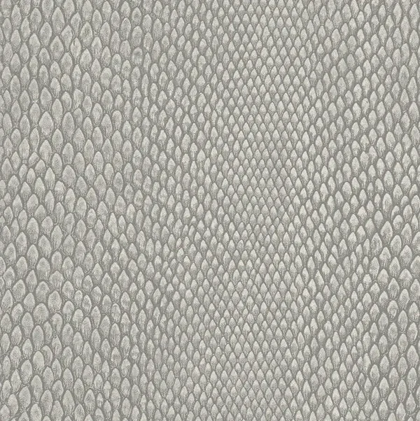 HookedonWalls Leopard Walk Naja 15333