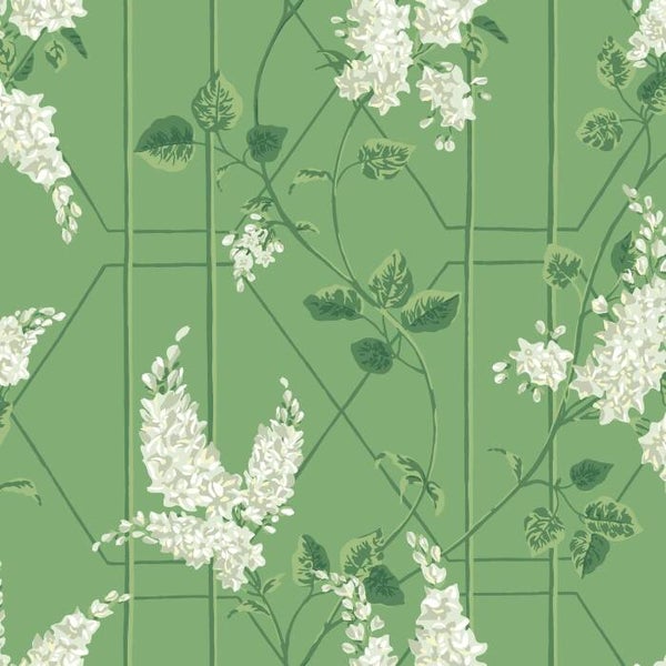 Cole & Son Botanical Botanica Wisteria 115/5016