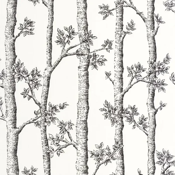 Caselio Balade Automne BLD 10612 00 00