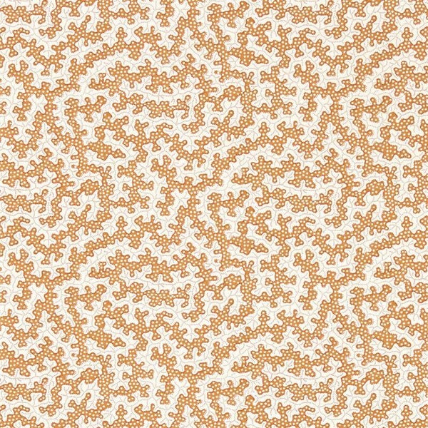 Sanderson Arboretum Truffle 217242