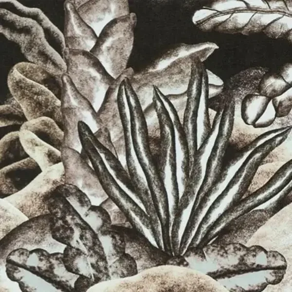 ARTE Décors & Panoramiques Balata Garden 97732