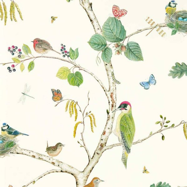 Sanderson Arboretum Woodland Chorus 217230
