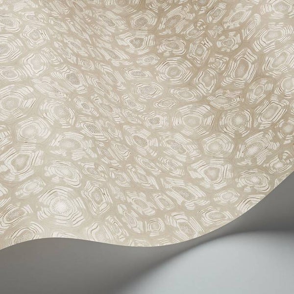 Cole & Son Ardmore Jabula Savanna Shell 119/4021