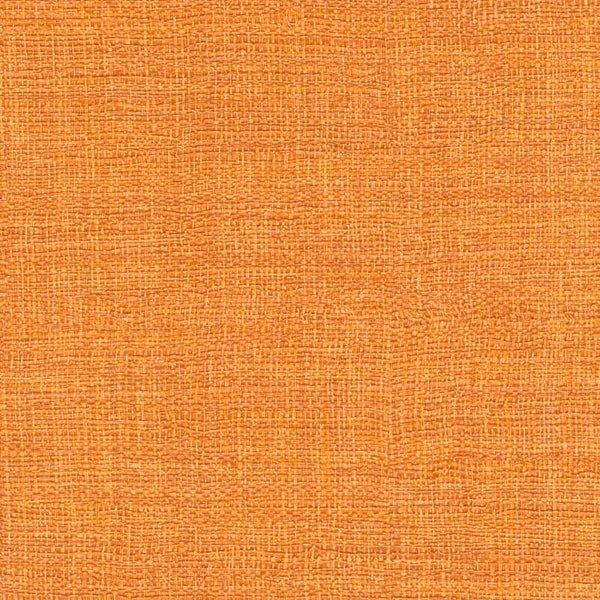 Élitis Madagascar Arrowroot Raw Raffia Madagascar VP 731 37