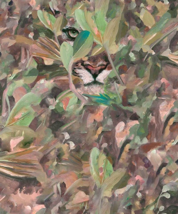 Coordonné Naturae Hidden Puma 9500011