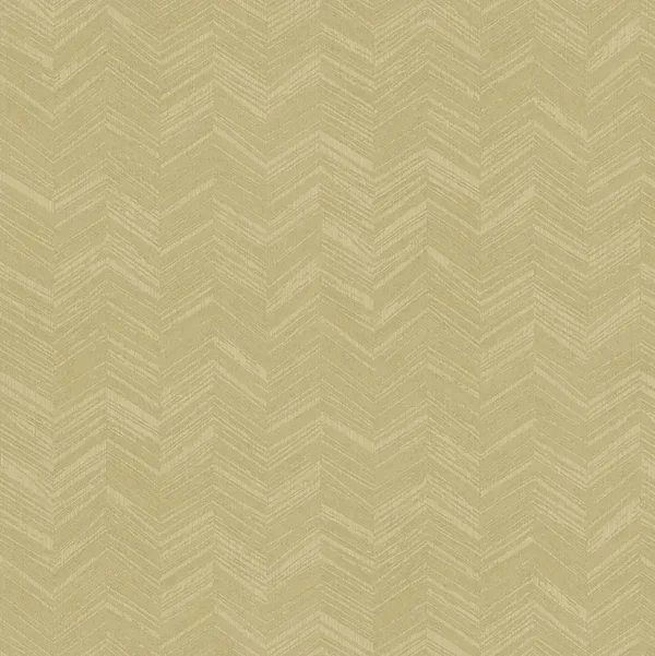 HookedonWalls New Wave Chevron Simposium 24817