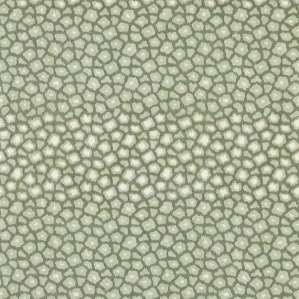 Harlequin Defined Momentum Loam 113296