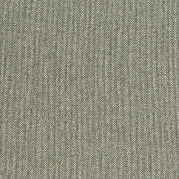 HookedonWalls Lemuria Baobab 60634