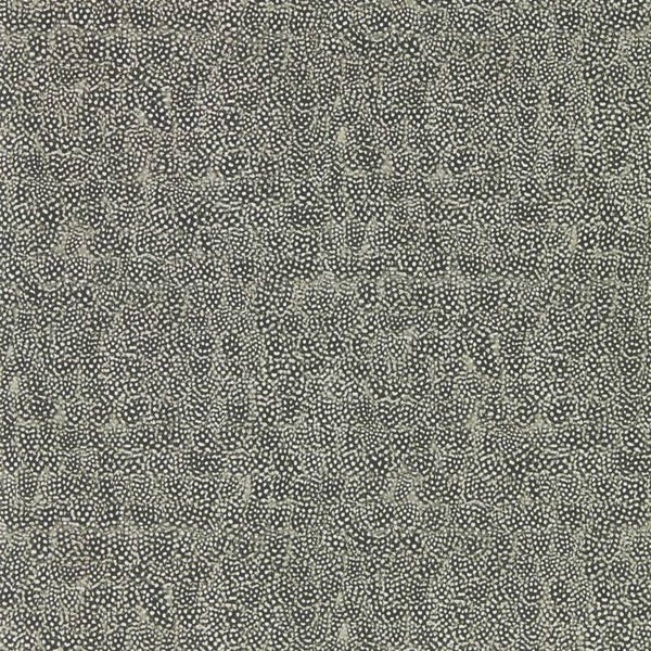 Zoffany Kempshott Guinea 312650