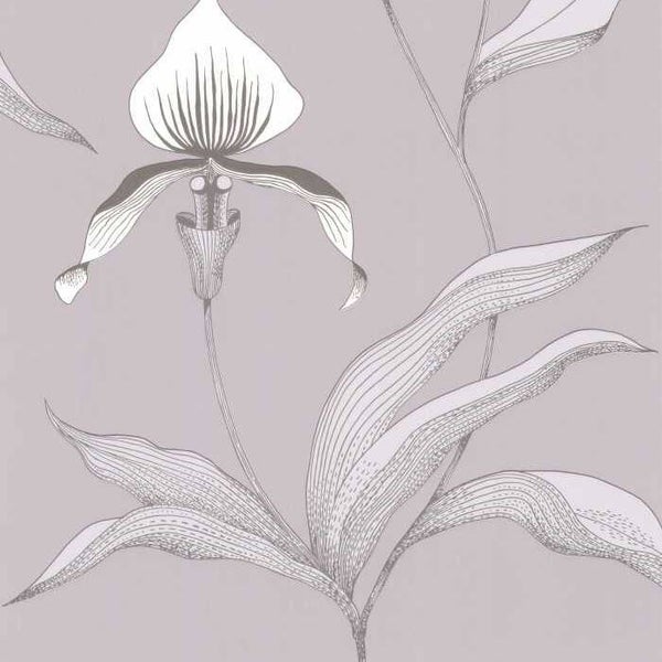 Cole & Son The Contemporary Selection Orchid 95/10055
