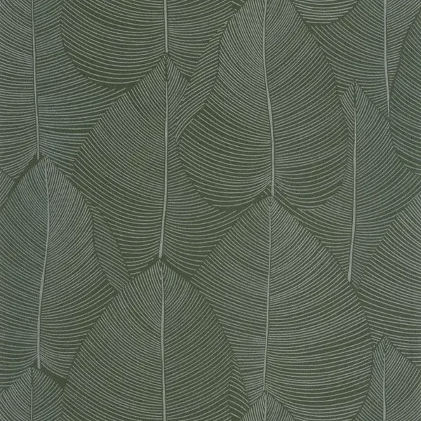 Caselio Light Nuance 106597070