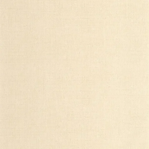 Caselio Matieres Raphia MMT 10597 11 50