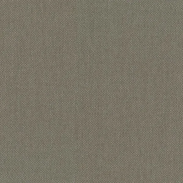 HookedonWalls Lemuria Baobab 60633