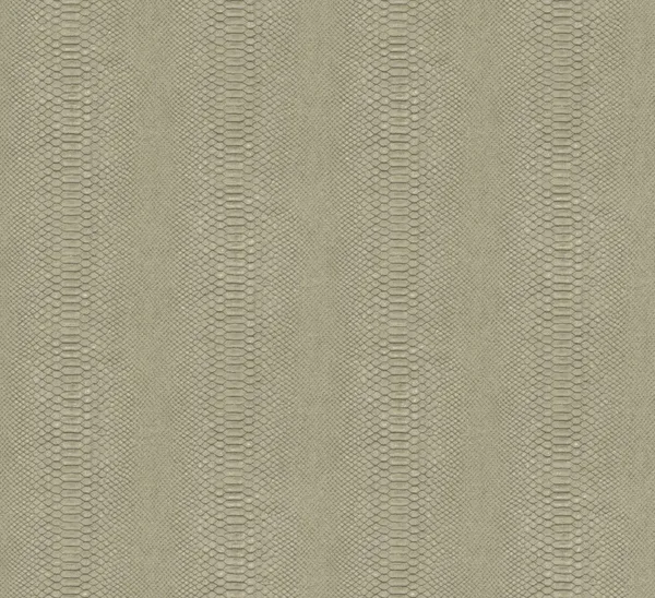 HookedonWalls Material Matters Python 24721