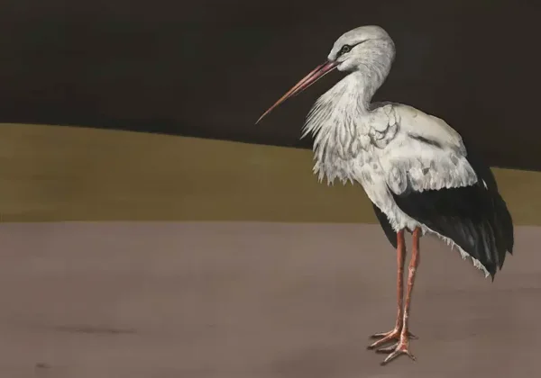 Coordonné Naturae Stork Mother 9500300