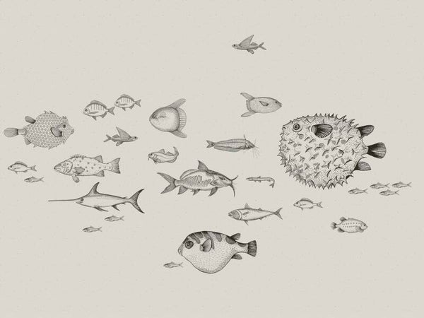 Coordonné Naturae Sea Current 9500601