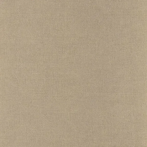 Casamance Alliages Rhodium C7502 04 06