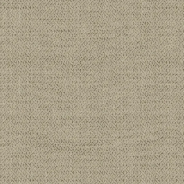 HookedonWalls Natural Chic Roma 32642