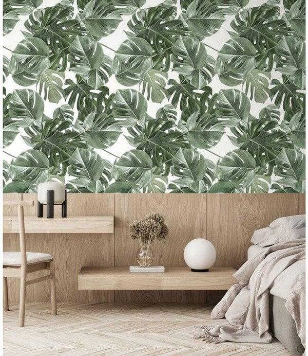 KEK Book l Monstera WP584
