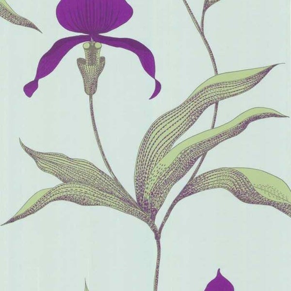 Cole & Son The Contemporary Selection Orchid 66/4027