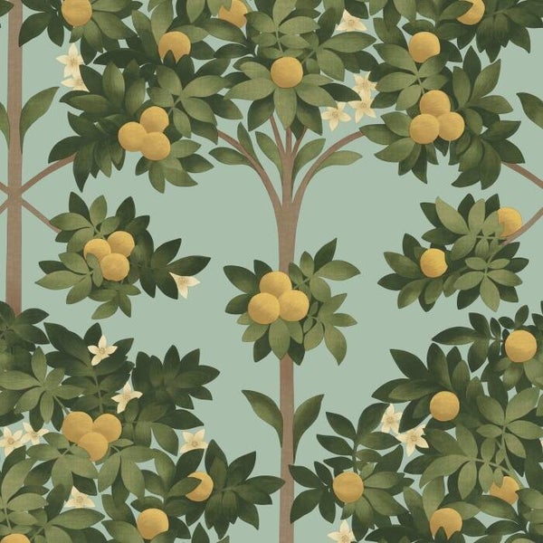 Cole & Son Seville Orange Blossom 117/1002