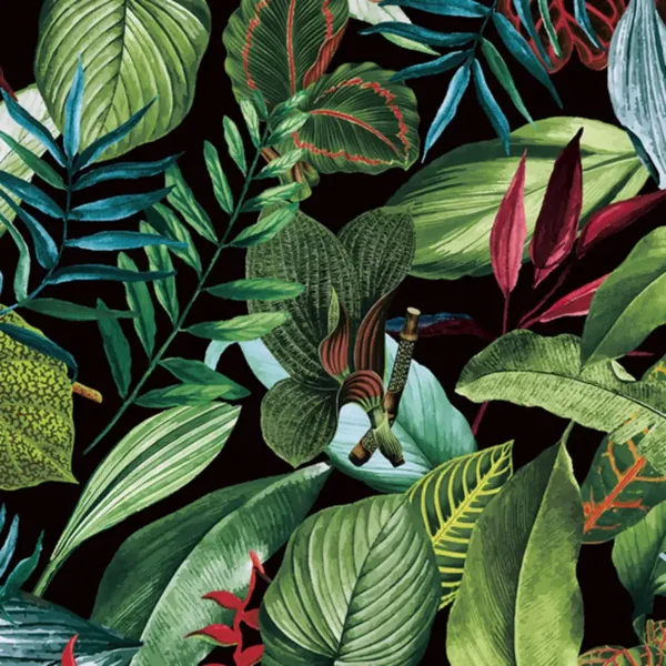 HookedonWalls Caribbean Kiribati 27224