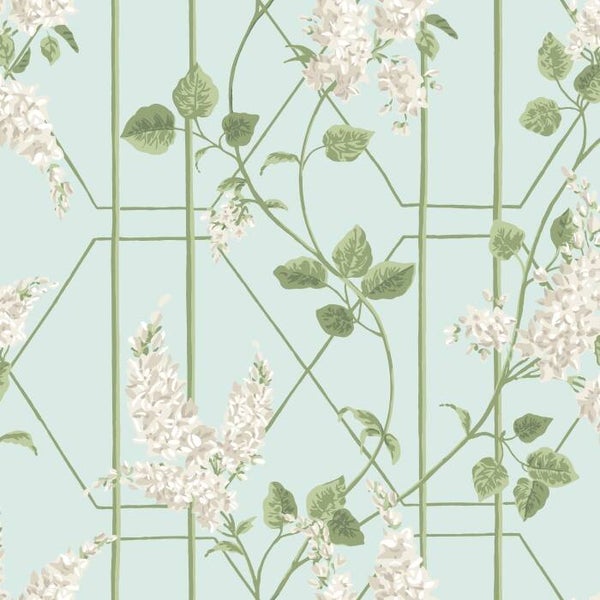 Cole & Son Botanical Botanica Wisteria 115/5014
