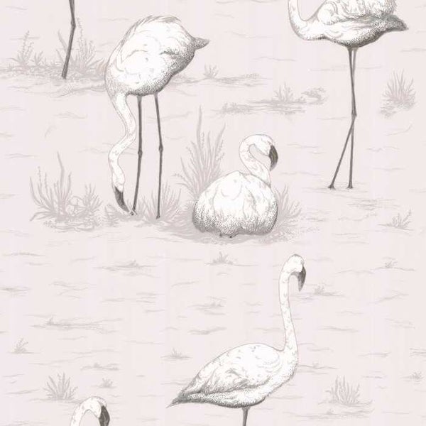 Cole & Son Contemporary Restyled Flamingos 95/8046