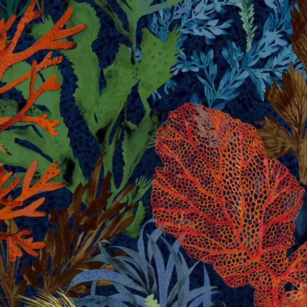 HookedonWalls Caribbean Bora Bora 27216