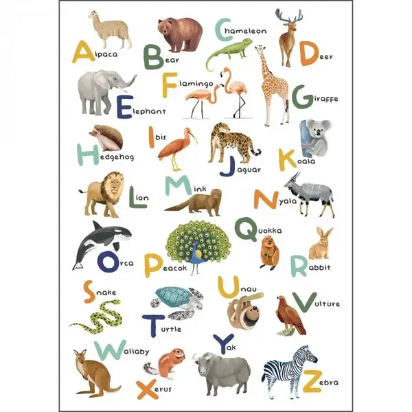Caselio Les Minis Mondes Let S Learn the Alphabet MNM 10585 70 05