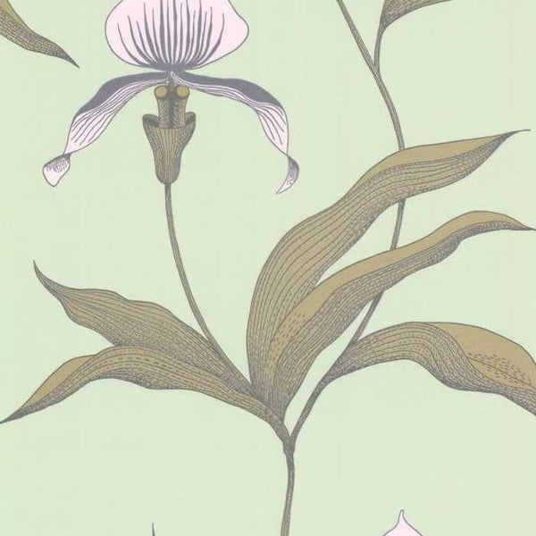 Cole & Son The Contemporary Selection Orchid 66/4028