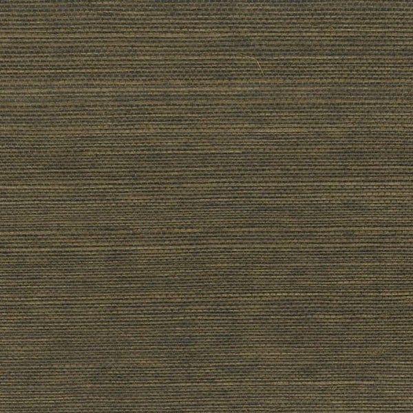 Élitis Maestria Sisal RM 1069 60