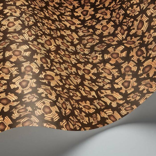 Cole & Son Ardmore Jabula Savanna Shell 119/4019