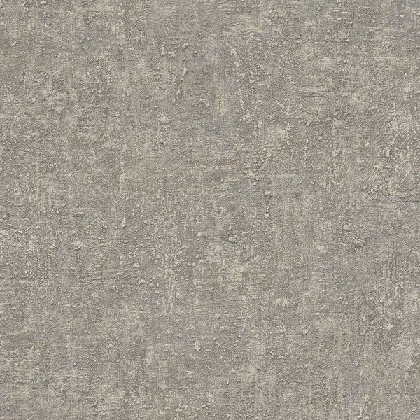 HookedonWalls Ginkgo Bark 21960