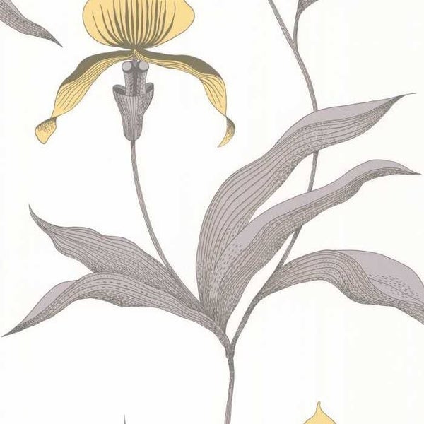 Cole & Son The Contemporary Collection Orchid 95/10057