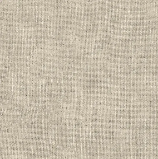 HookedonWalls Leopard Walk Ramie 15307